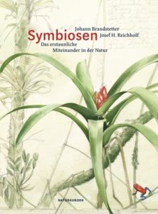 B-12-17 Symbiosen.jpg