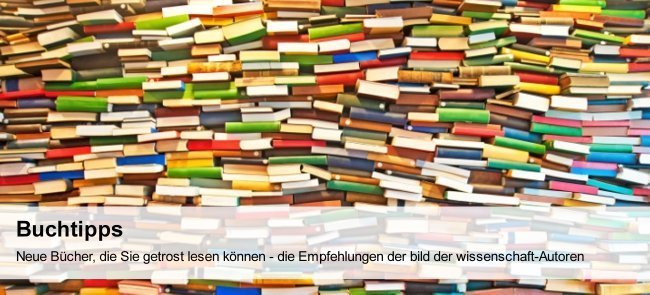 Artikelbild
