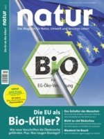 Cover-nk_2015-010_kl.jpg