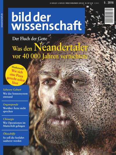 Artikelbild