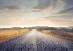 Fotolia_44016457_XS_250.jpg