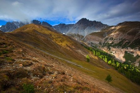 M_alp_tavrue-06.jpg