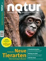 NK_0414_Titel-Web_S.jpg