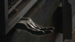 Peters_Hand_250.jpg