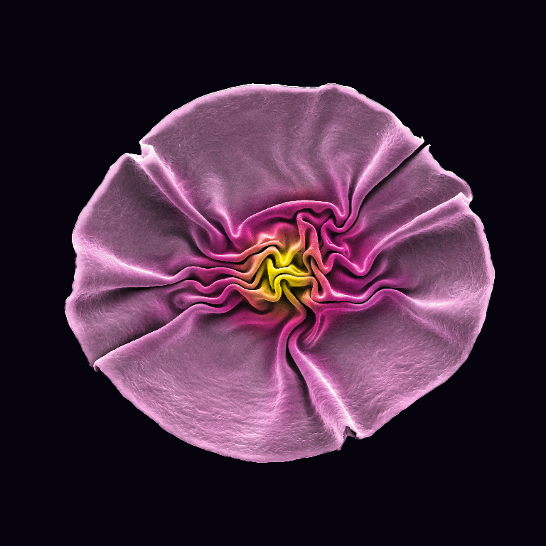 Artikelbild