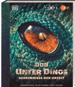 Nahaufnahme eines Reptilienauges mit reflektierendem Menschen im Blick.