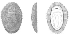 Artikelbild