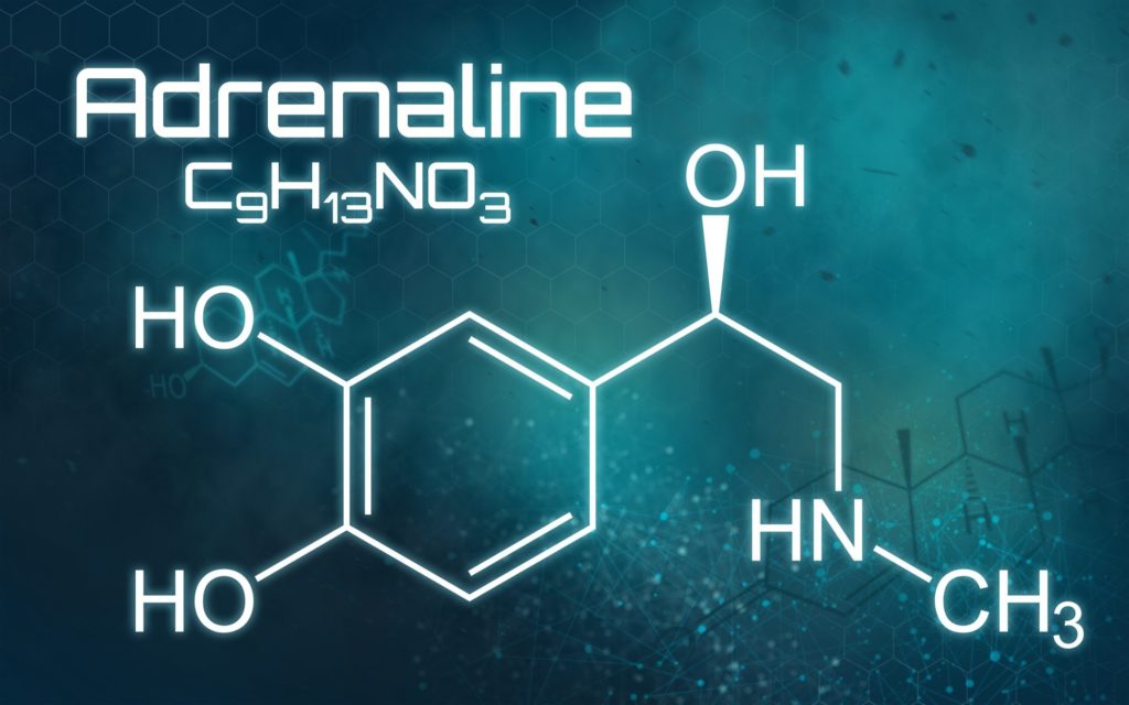 Strukturformel des Adrenalins