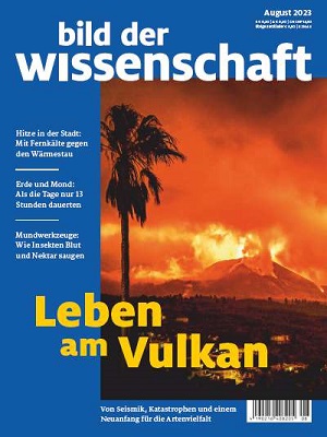Cover bdw 08/2023
