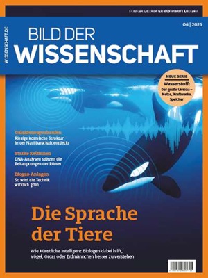 Cover BDW 06/2025