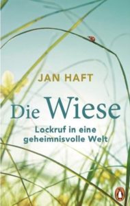 Cover Die Wiese
