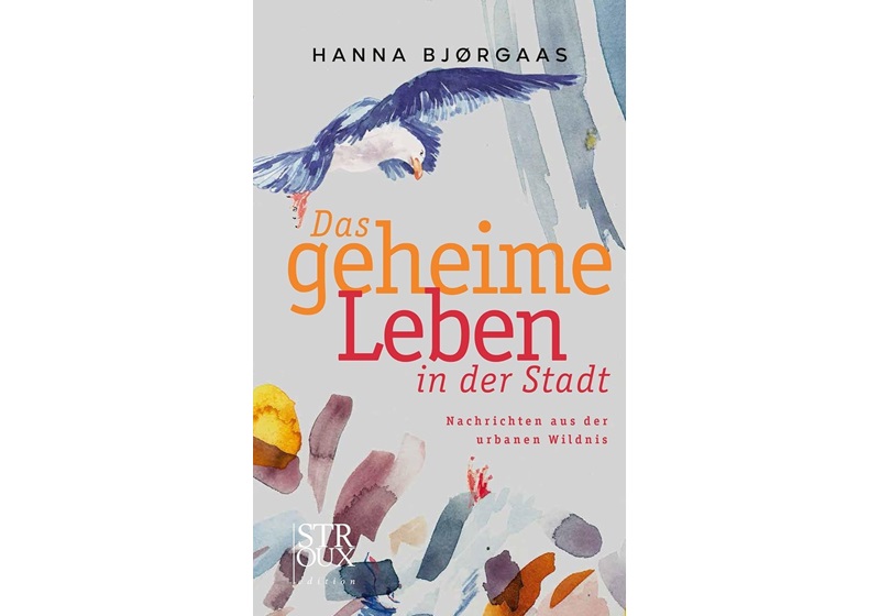 Cover Das geheime Leben in der Stadt von Hanna Bjørgaas