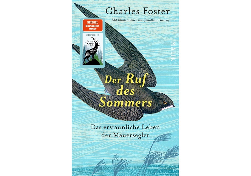 Cover DER RUF Des SOMMERS von Charles Foster