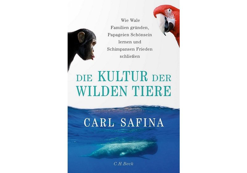 Cover DIE KULTUR DER WILDEN TIERE von Carl Safina