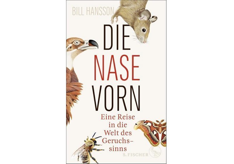 Cover DIE NASE VORN von Bill Hansson