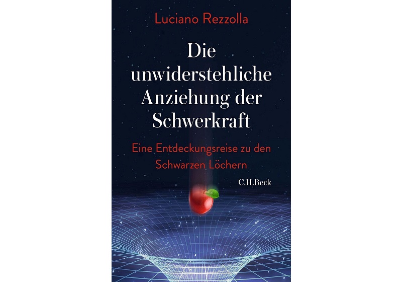 Cover Die unwiderstehliche Anziehung der Schwerkraft von Luciano Rezzolla