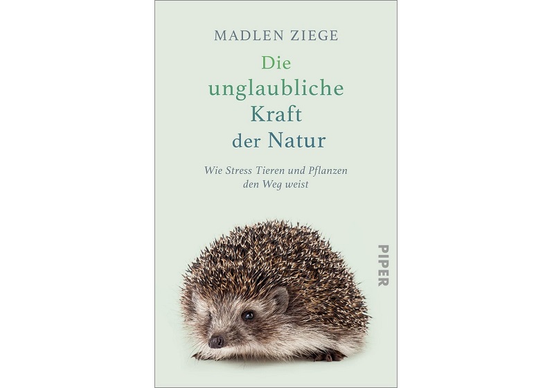 Cover DIE UNGLAUBLICHE KRAFT DER NATUR von Madlen Ziege
