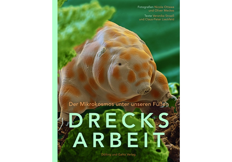 Cover Drecksarbeit von Nicole Ottawa, Oliver Meckes, Veronika Straaß und Claus-Peter Lieckfeld