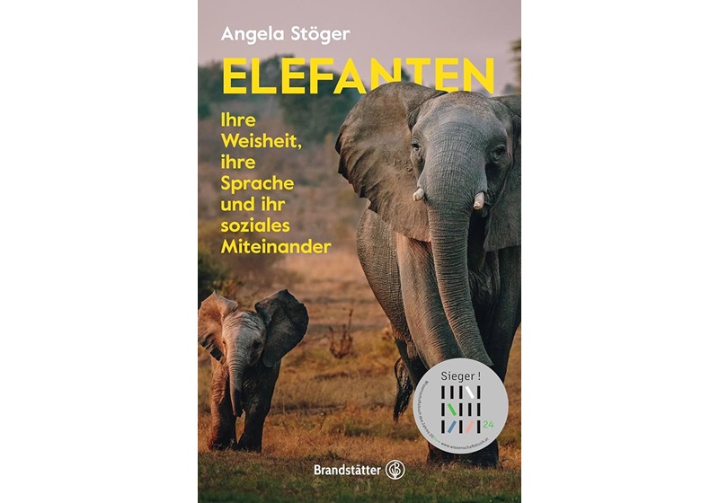 Cover Elefanten von Angela Stöger