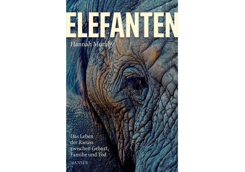 Cover ELEFANTEN von Hannah Mumby