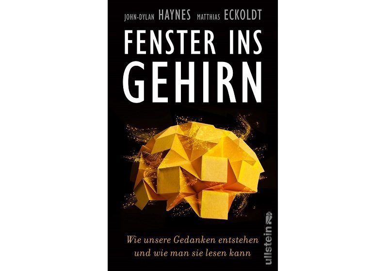 Cover FENSTER INS GEHIRN von John-Dylan Haynes und Matthias Eckoldt