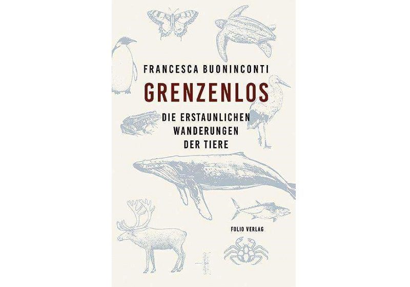 Cover GRENZENLOS von Francesca Buoninconti