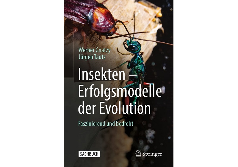 Cover INSEKTEN – ERFOLGSMODELLE DER EVOLUTION von Werner Gnatzy und Jürgen Tautz