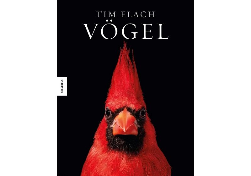 Cover VÖGEL von Tim Flach