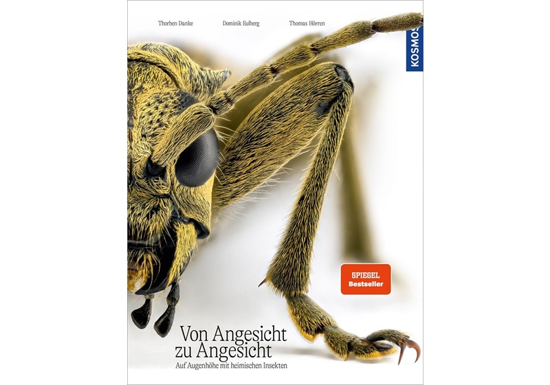 Cover Von Angesicht zu Angesicht. Auf Augenhöhe mit heimischen Insekten von Dominik Eulberg, Thomas Hörren, Thorben Danke