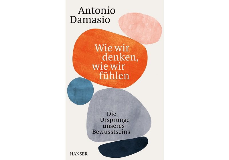 Cover WIE WIR DENKEN, WIE WIR FÜHLEN von Antonio Damasio