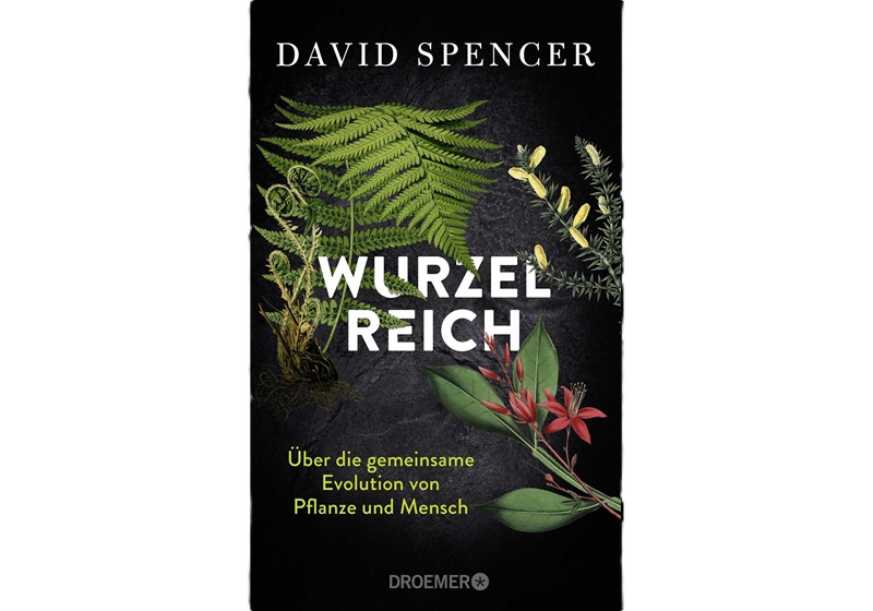 Cover Wurzelreich von David Spencer