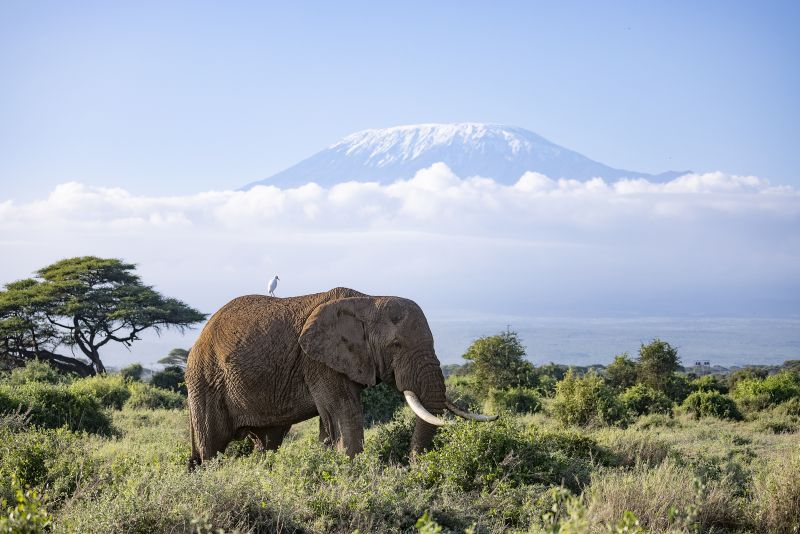 5_S.-36-c-Clement-Kiragu_ClementWild