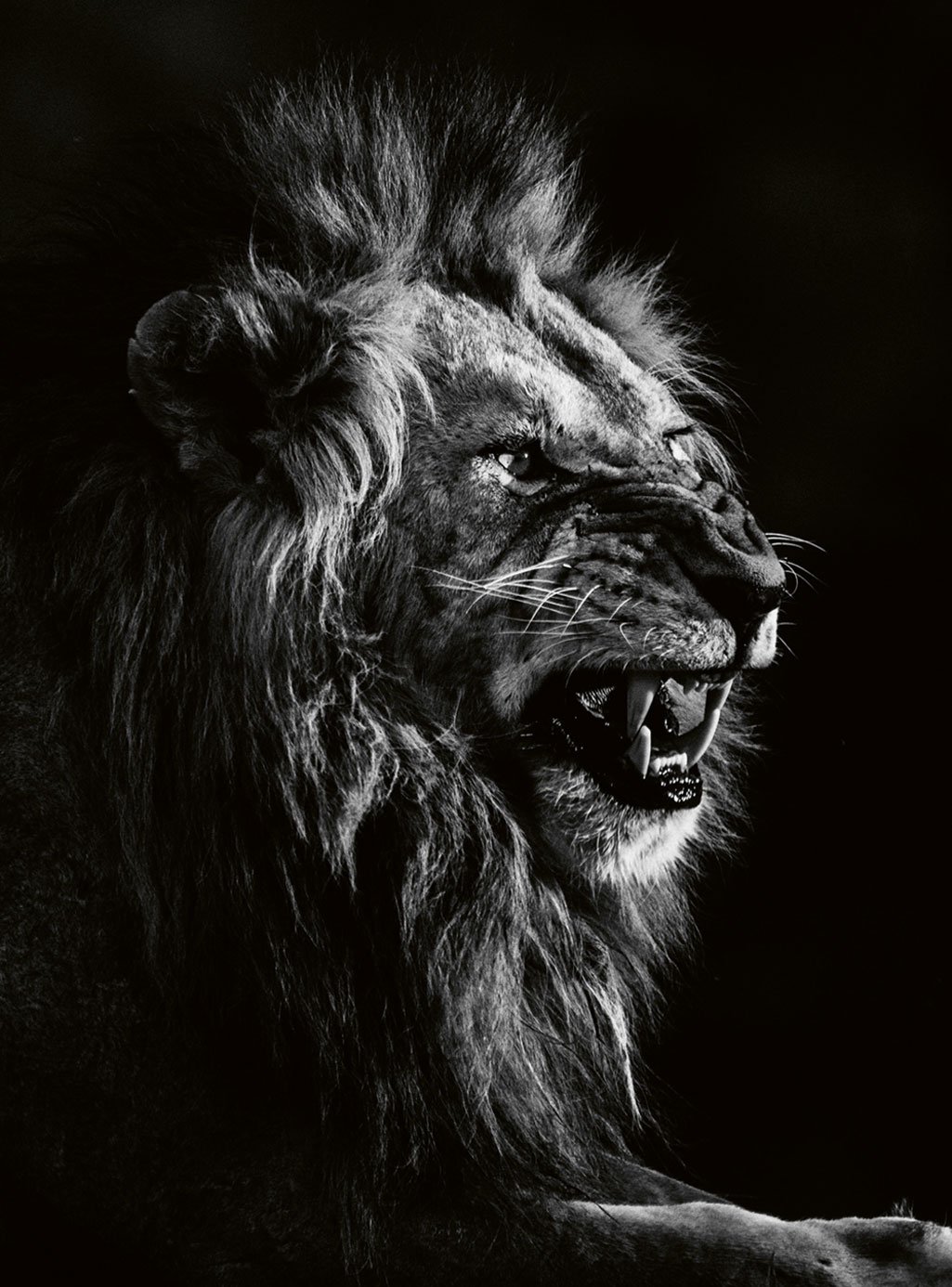 Smile or die, Kenya 2019 (Bild:  2019 Laurent Baheux. Alle Rechte vorbehalten.)