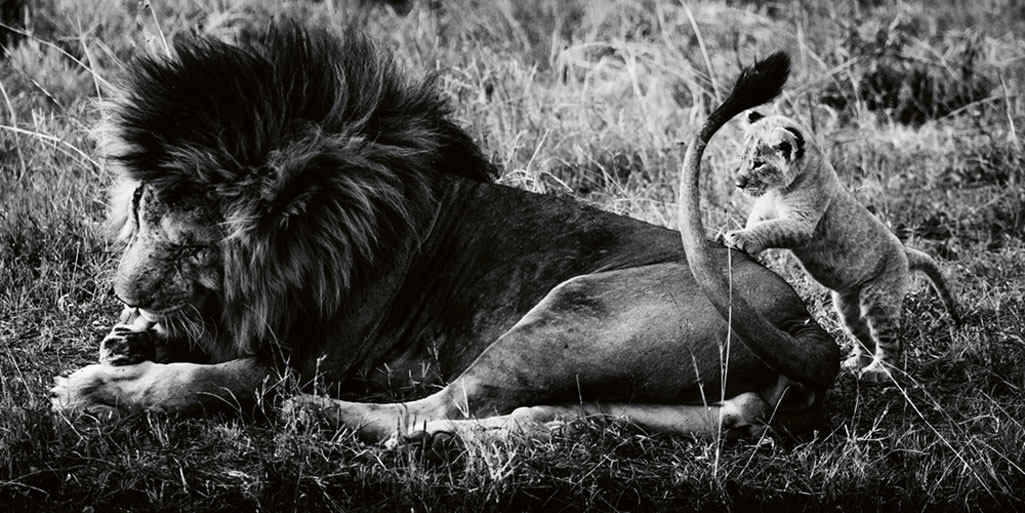 Father and son, Kenya 2014 (Bild: 2019 Laurent Baheux. Alle Rechte vorbehalten.)