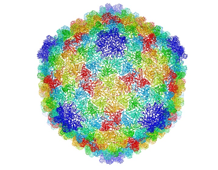 Bestes Bild Juli 2017: Proteine unterm Kryo-Mikroskop (Foto: C. Hryc and the Chiu Lab, Baylor College of Medicine)