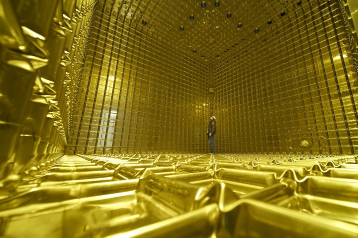 11_Goldener_Käfig_neu