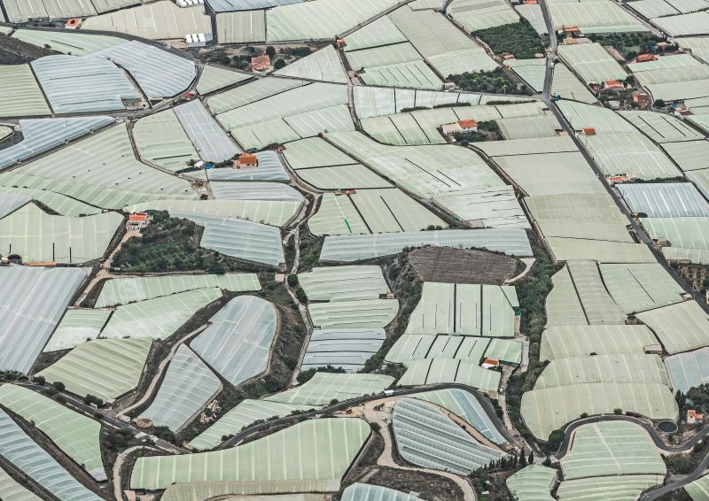 S.-63-c-FrederkingThaler-Verlag-Bernhard-Lang