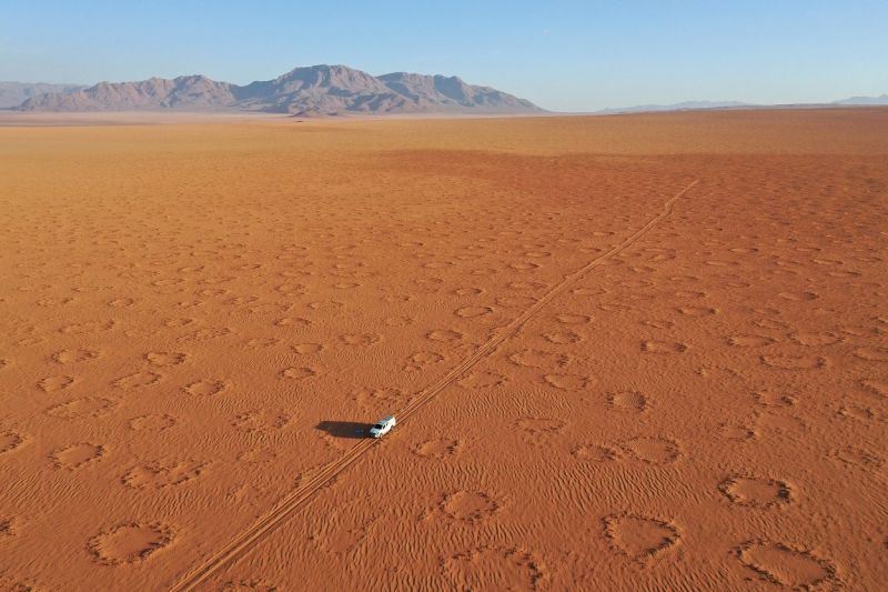 Zur Entstehung von Feenkreisen (hier im NamibRand-Naturreservat in der Namib-Wüste, Namibia) gibt es viele Theorien. Bei Trockenheit wächst zwischen den Kreisen kein Gras. (Bild: Stephan Getzin)