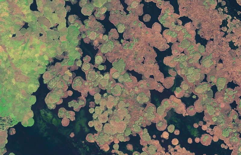 Das Wolgadelta am Kaspischen Meer ist mit über 27.000 Quadratkilometern das größte Flussdelta Europas. (Foto: eoVision 2017/European Space Imaging 2017)