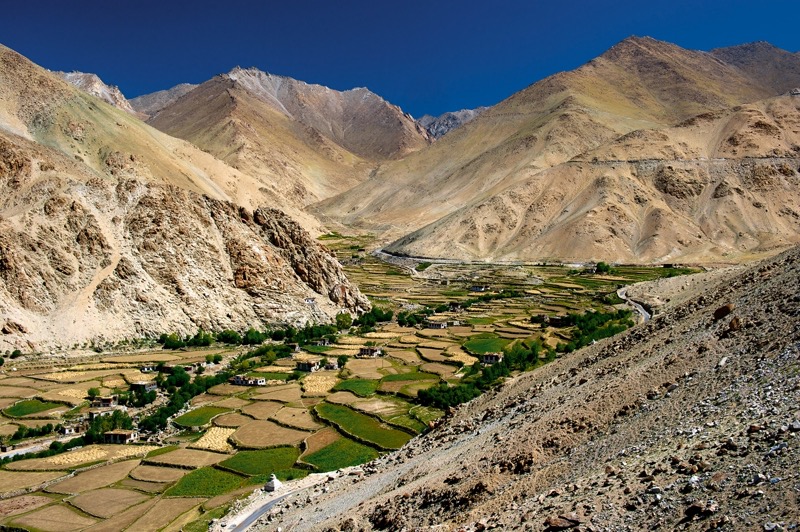 Wegen des geringen Jahresniederschlags von 70 Millimetern müssen die Felder im indischen Ladakh mit Kanälen gewässert werden. (Foto: Michael Martin)