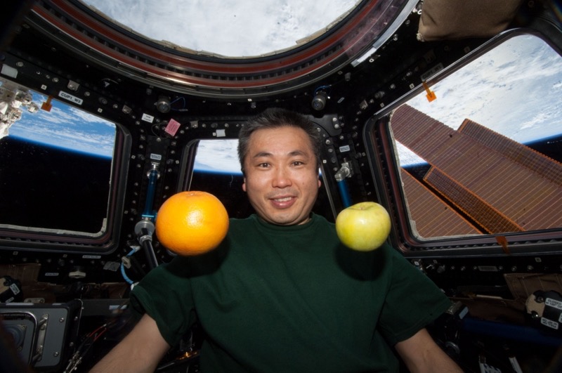 Frisches Obst auf der ISS. Foto: NASA
