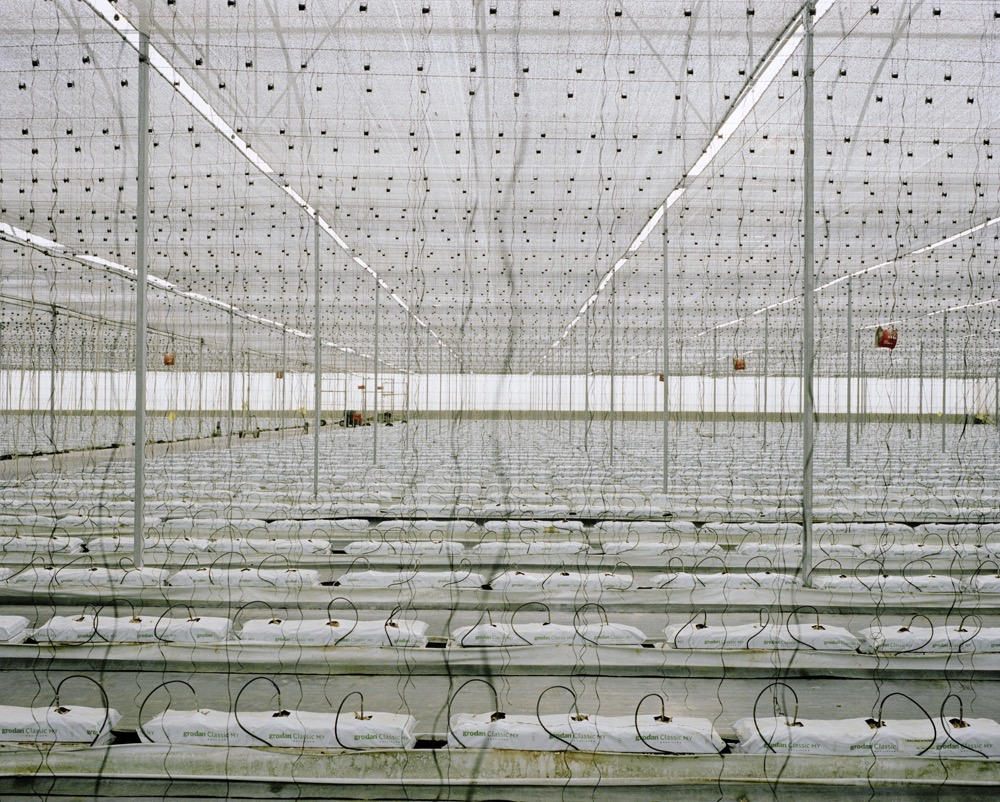Blick ins Innere eines Gewächshauses in Almeria. Foto: Armin Linke