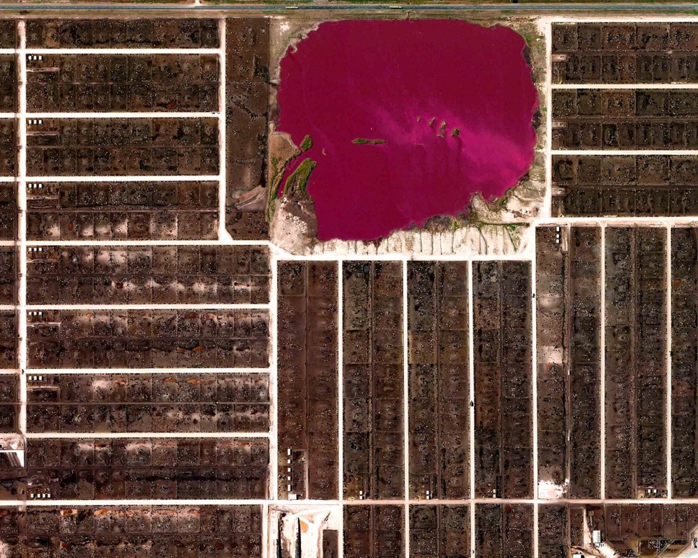 Rinder-Feedlots in Summerfield, Texas.