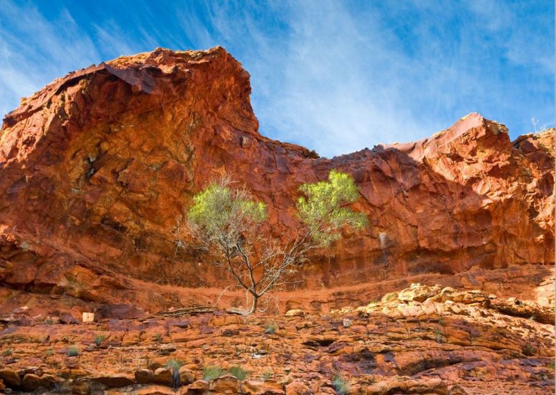 Kings Canyon