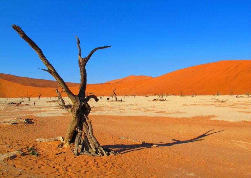 Sossusvlei