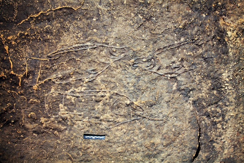 Fische Sahara Felskunst