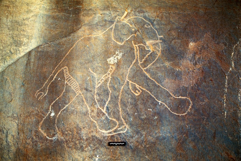 Elefant Felskunst