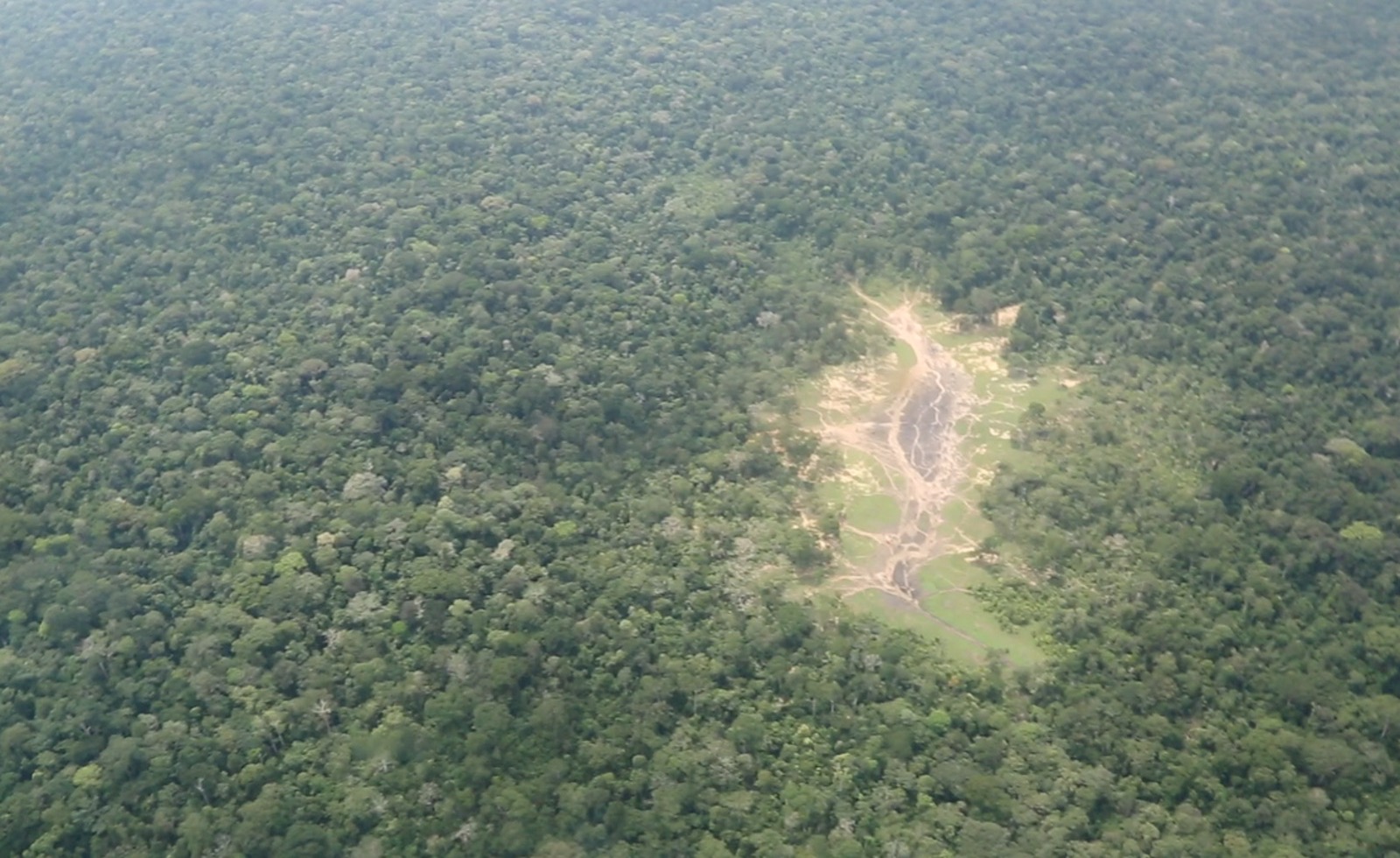 Dzanga-Sangha Kongo-Becken