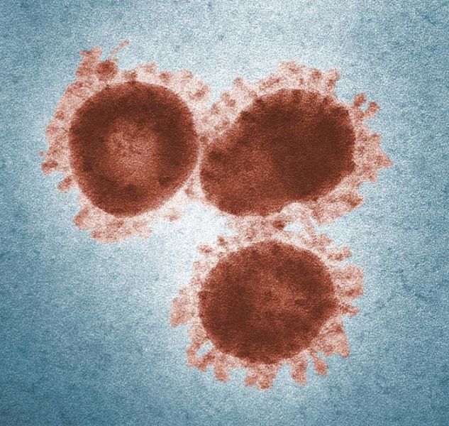Coronavirus 1975
