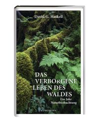 haskell_wald_dummy_klein.jpg